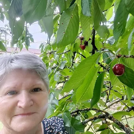 Сasa de vacaciones Souvenirs D'enfance