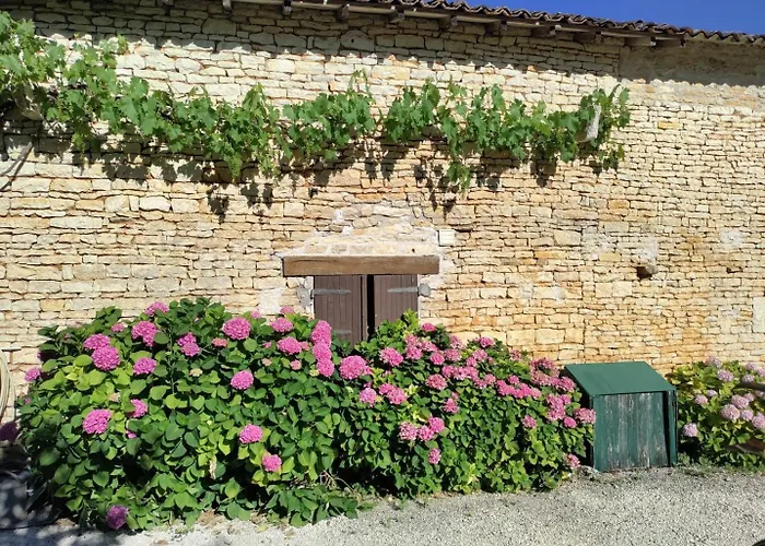 Souvenirs D'enfance Chaunay